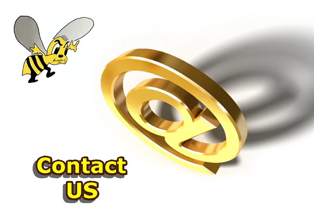 Feel Free to contact us anytime!